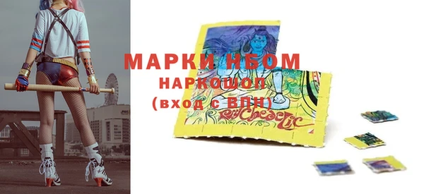 шишки Горняк