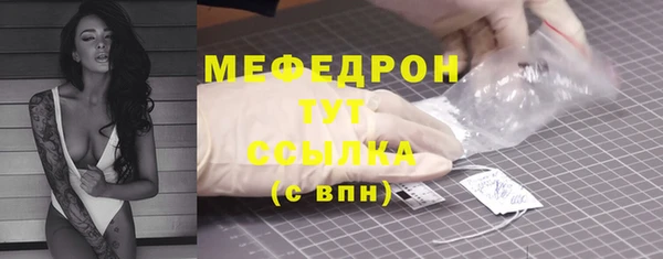 шишки Горняк