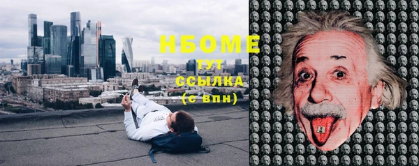 шишки Горняк