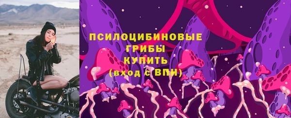 герыч Горнозаводск